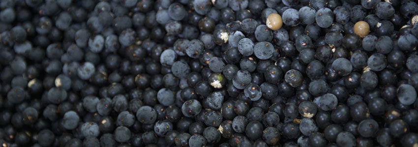 Acai Berry for Weight loss