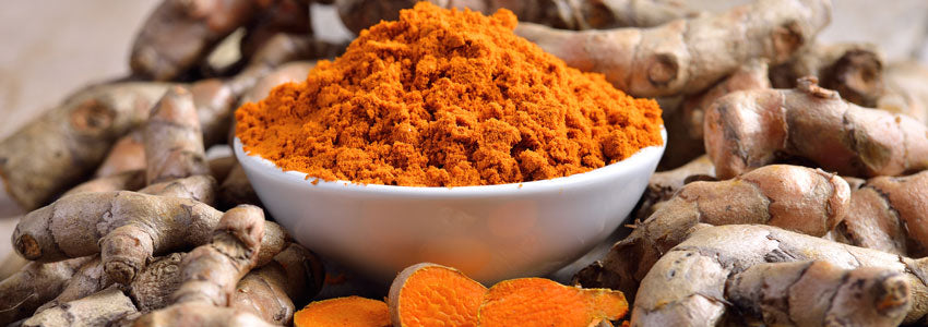 Turmeric and Curcumin – What’s the difference?