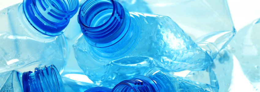 BPA and Phthalates Be Gone!