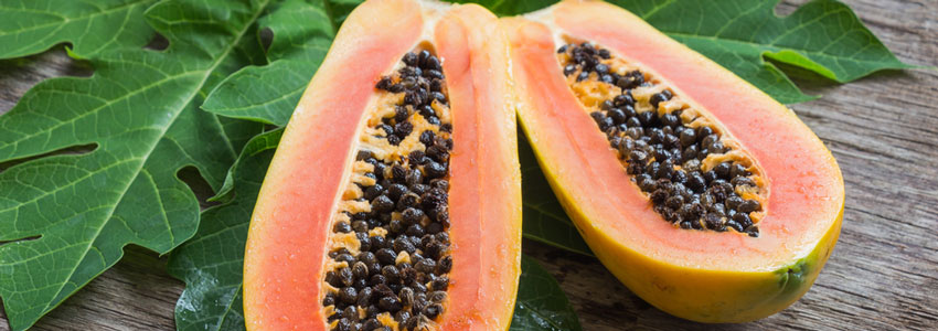 Benefits of Paw Paw Ointment