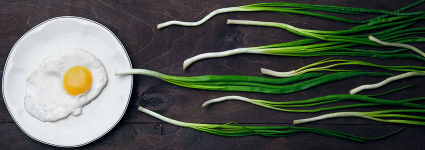 8 Foods to Improve Sperm Health