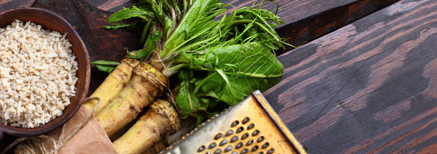 Herb of The Month - Horseradish