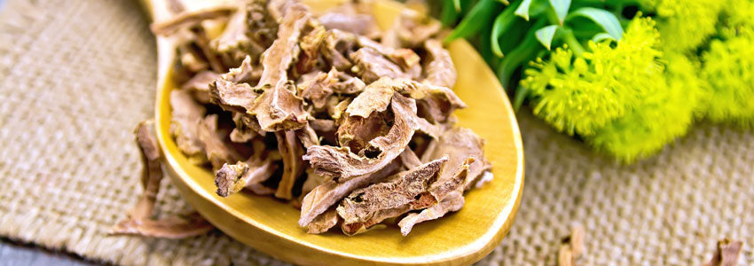 Rhodiola Rosea and Reducing Burn Out
