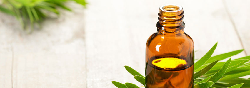 8 Everyday Uses for Tea Tree Essential Oil