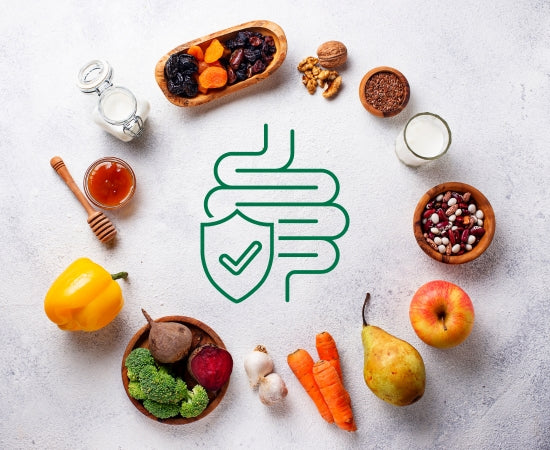 Understanding Antibiotics, Gut Health, and Probiotics