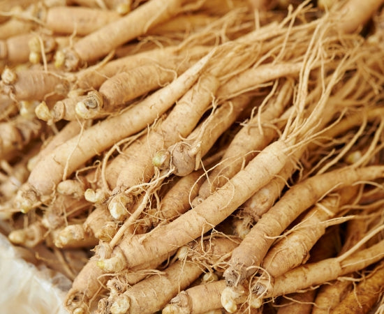 Korean Ginseng Benefits for Energy, Stamina and Stress Support